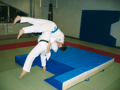 tatami judo 2