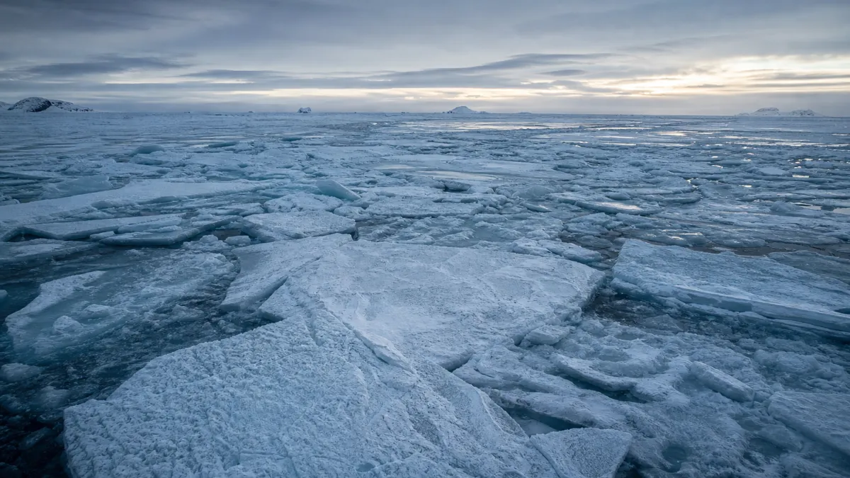 Baquise océan Arctique : comprendre ce phénomène glaciaire